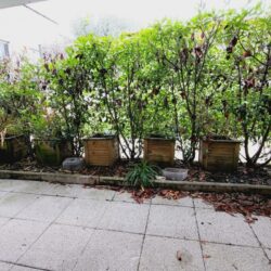 Appartement T2 de 40m2 – vendu libre sur Tournefeuille