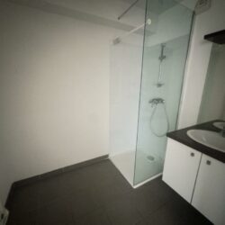 ** Cornebarrieu T3 – Vendu LIBRE **